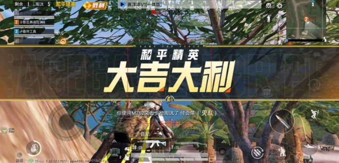 和平精英辅助 - 稳定吃鸡外挂 - 无需ROOT支持地铁逃生